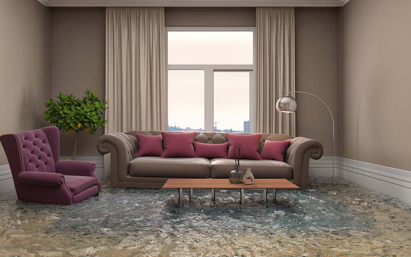 carpet cleaning in manhattan, carpet cleaning manhattan, carpet cleaners in manhattan, carpet cleaners in manhattan, commercial carpet cleaning, commercial carpet cleaning in manhattan, manhattan rug cleaners, rug cleaning services in manhattan, same day carpet cleaning, same day rug cleaning in manhattan